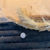 PHOTO-2026-02-17-22-35-34 2